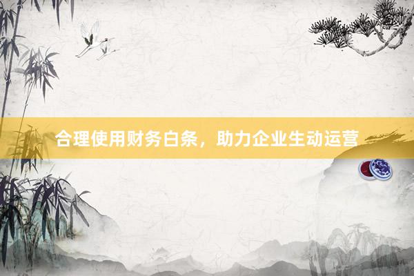 合理使用财务白条，助力企业生动运营