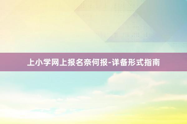 上小学网上报名奈何报-详备形式指南