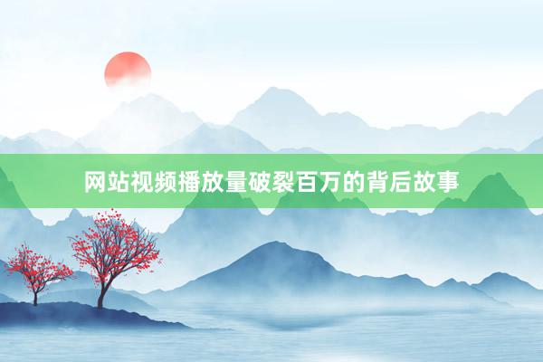 网站视频播放量破裂百万的背后故事